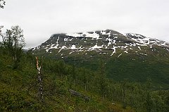 IMG_0192