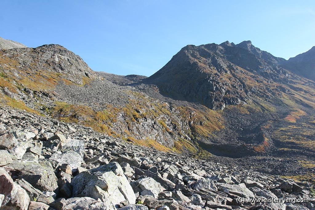 IMG_0743.JPG - Over skoggrensen venter ytterligere steinur. Toppen oppe til høyre. Naturlig rute er å følge beltet med steinur inn dalen.