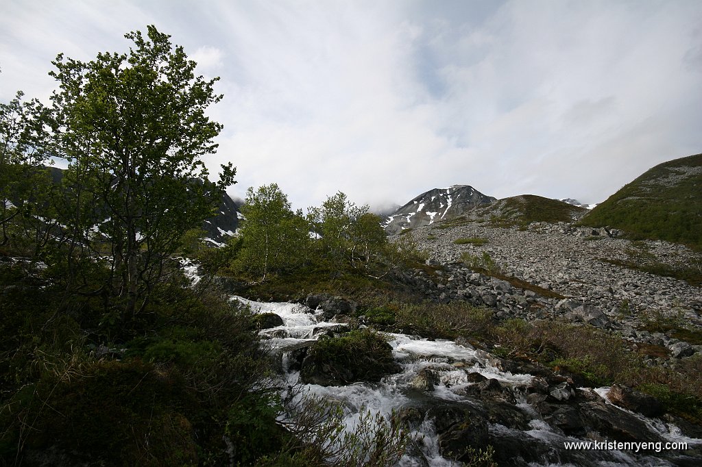 IMG_0012.JPG - Oppe av skogen. Åborsdalstinden ses bak til høyre for midten.