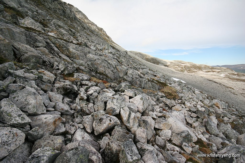 IMG_0056.JPG - Fin steinur å gå i opp mot toppen.