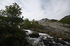 IMG_0012