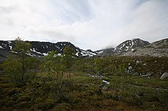 IMG_0015