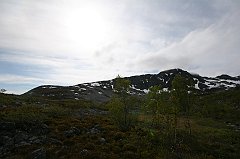 IMG_0017