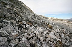 IMG_0056