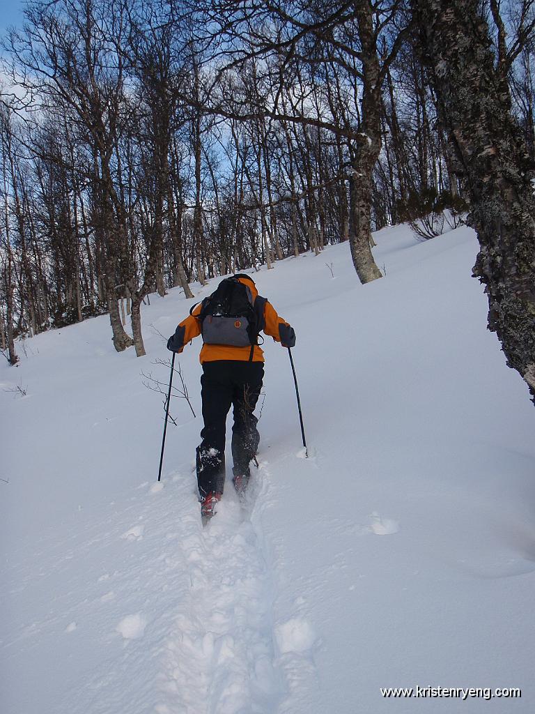 P2280007.JPG - Til tider mye snø i skogspartiet på vei opp mot toppen. Greit å veksle på å gå først å lage spor.