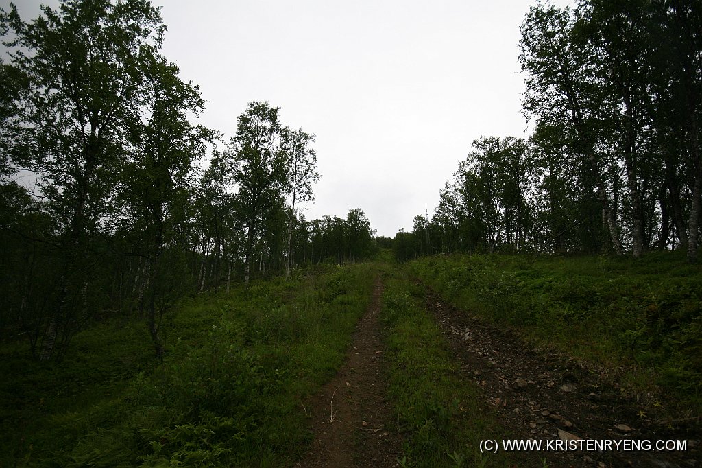 IMG_0001.JPG - Motorvei opp gjennom skogen. Blåtinden er en av Ti på topp turene i 2011.