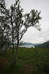 IMG_0011