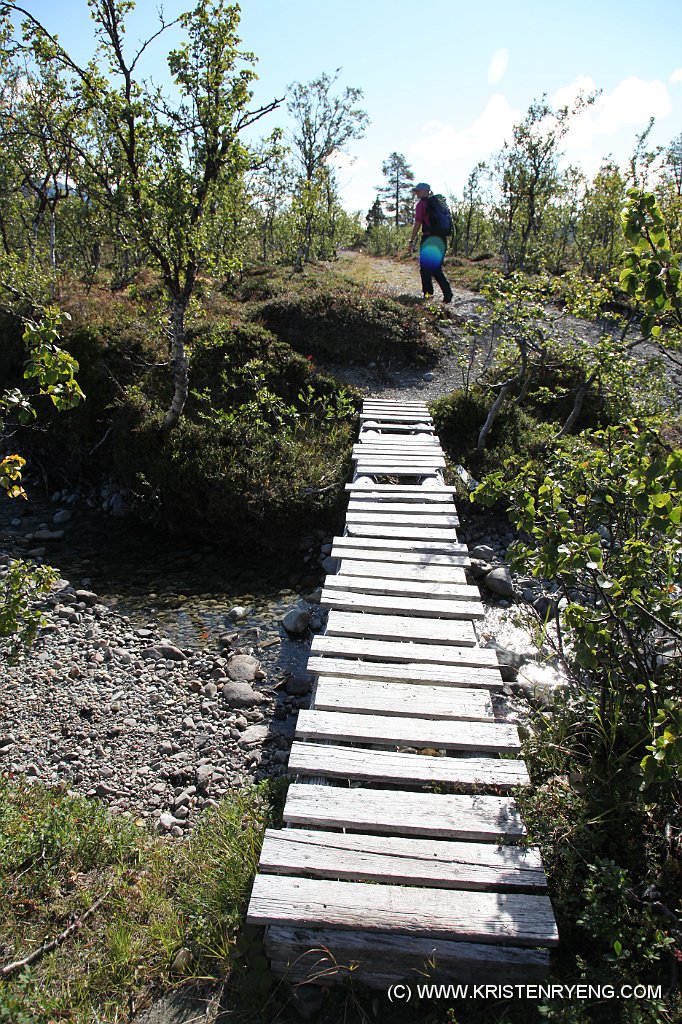 IMG_0079.JPG - Stor bru sett i forhold til størrelsen på elva :-))