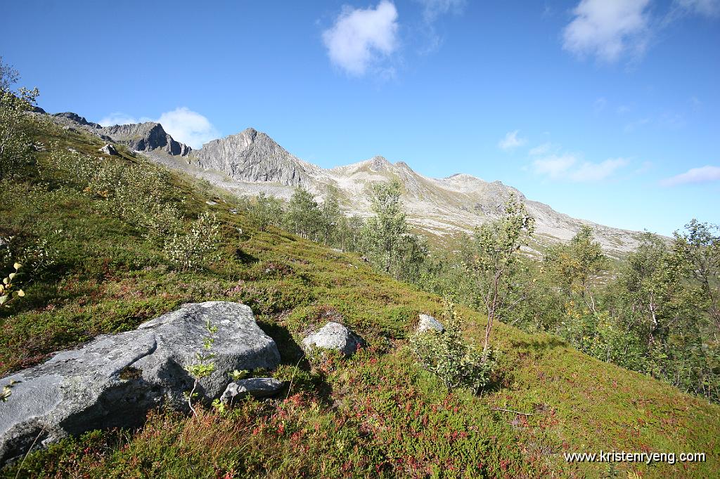 IMG_0064.JPG - Ute av skogen ser ting straks litt bedre ut. Ruten opp går i skaret midt i bildet.