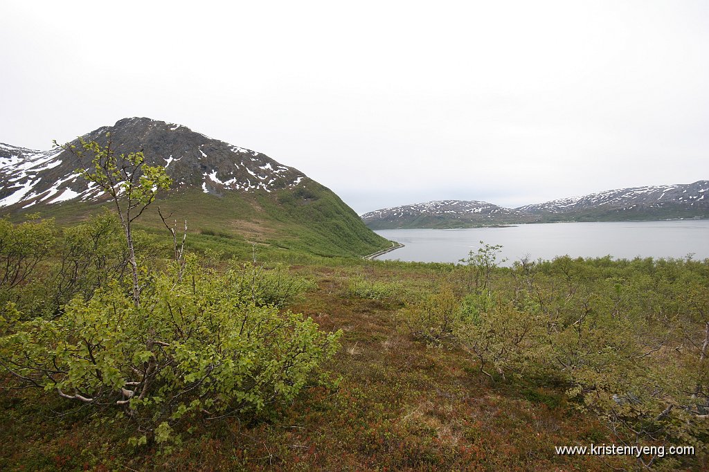 IMG_0002.JPG - Oppe av skogen med utsikt tilbake mot Vasstrand.