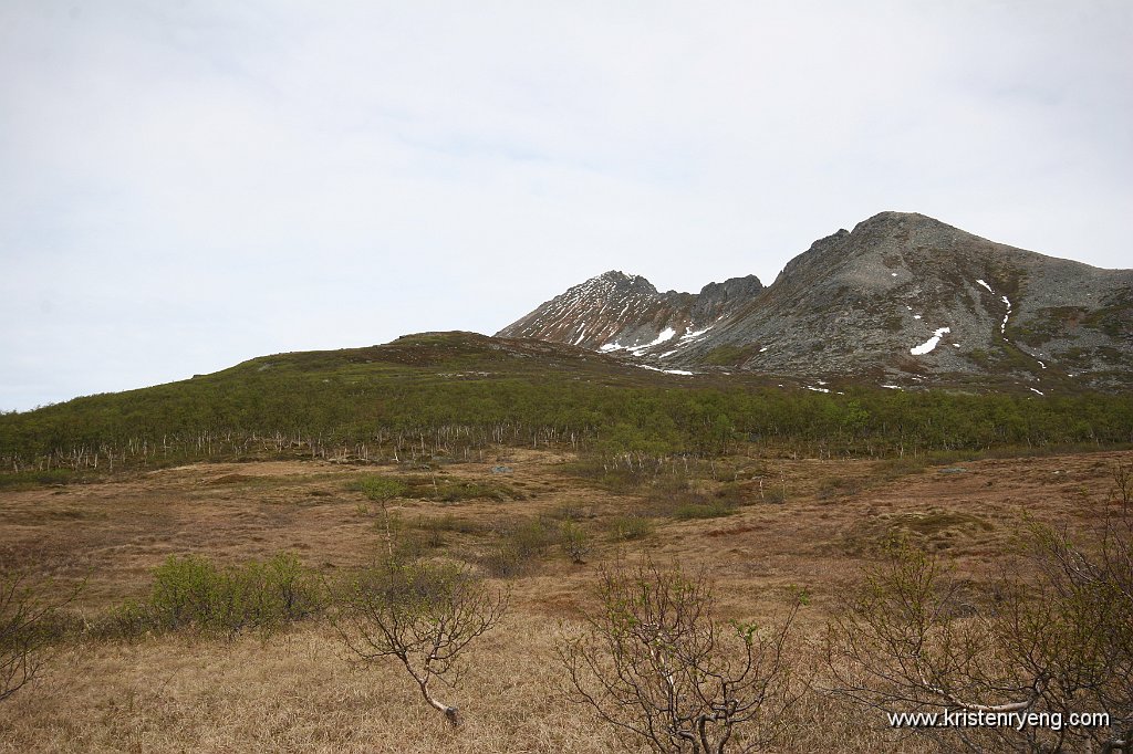 IMG_0021.JPG - Snart over myrområdet, på vei opp mot Rundhaugen som ses til venstre for midten av bildet.