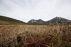 IMG_0006