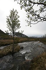 IMG_0019