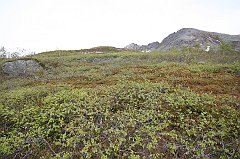 IMG_0032
