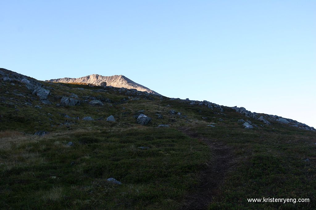 IMG_0082.JPG - Gode stier viter om godt besøk. Mye av årsaken skyldes vel Ti på Topp statusen til fjellet.