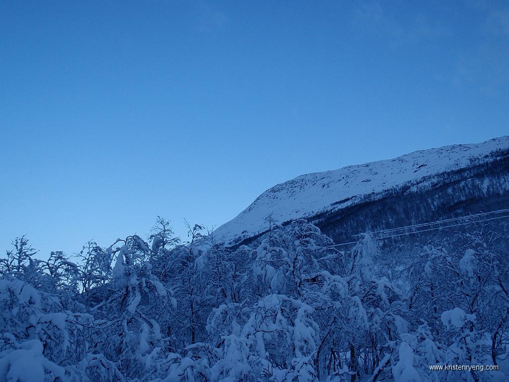 P2040004.JPG - Opp langs Sørfjordalen for å vinne litt høyde. Finnkollen ligger motsatt vei. Raskeste vei er ikke alltid rett frem :-))