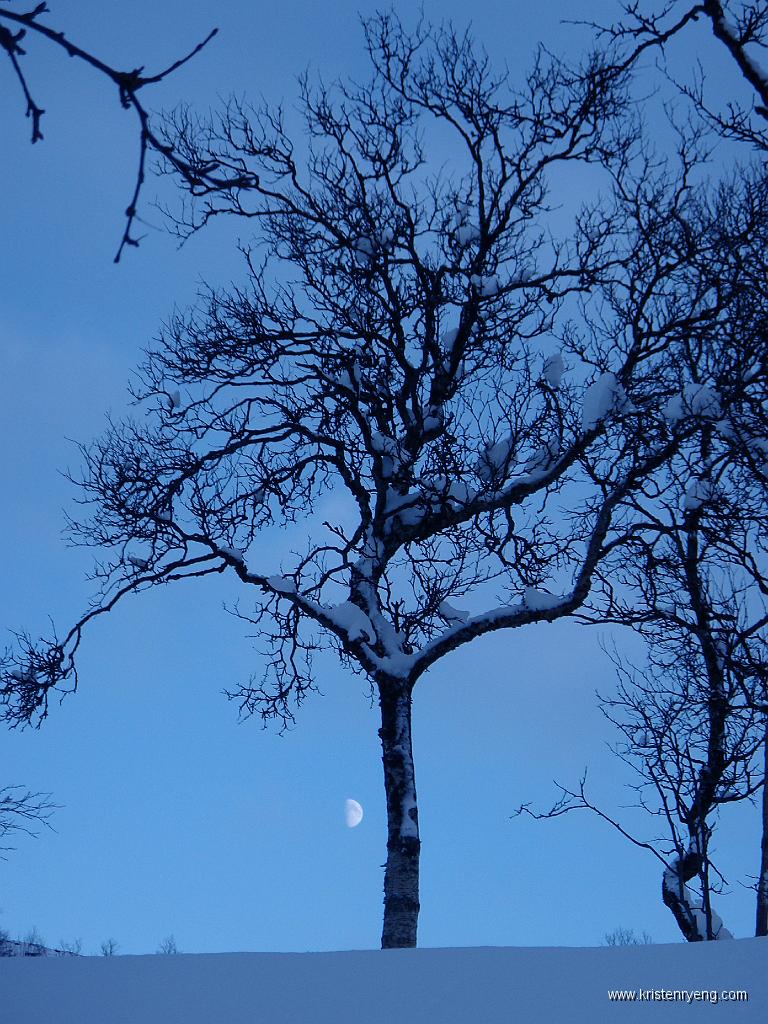 P2040018.JPG - Gikk rett i mot en halvmåne på vei mot Finnkollen. Kaldt denne dagen med temperaturer ned under minus 10.