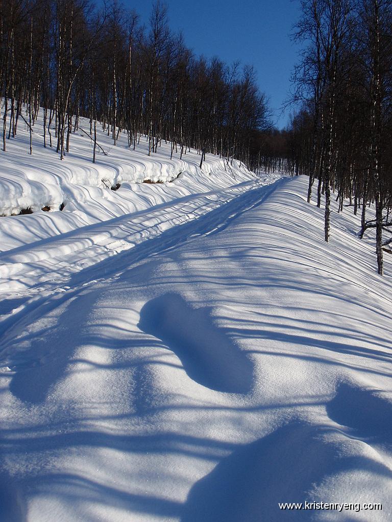 P3040006.JPG - Noen ganger er det meget praktisk å kunne følge et scooterspor. Uten spor å følge opp igjennom skogen her hadde det kostet krefter og tid i den dype snøen.