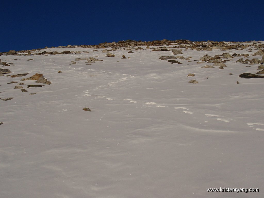 PA240145.JPG - Snø egner seg ypperlig til nedfart på beina.