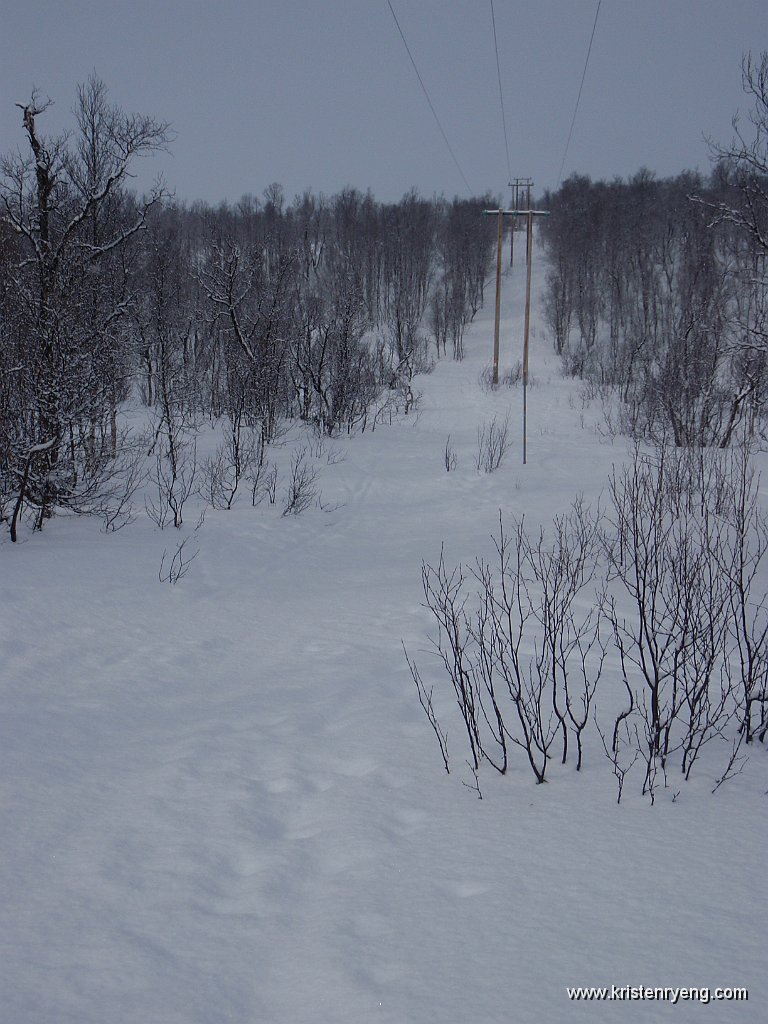 P3160204.JPG - Opp langs høyspentgaten gjennom skogen.