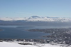 IMG_0243