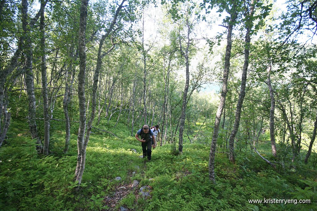 IMG_0004.JPG - Kjerrevei blir fort til sti... Her Lars og Håvard på vei opp igjennom skogen.