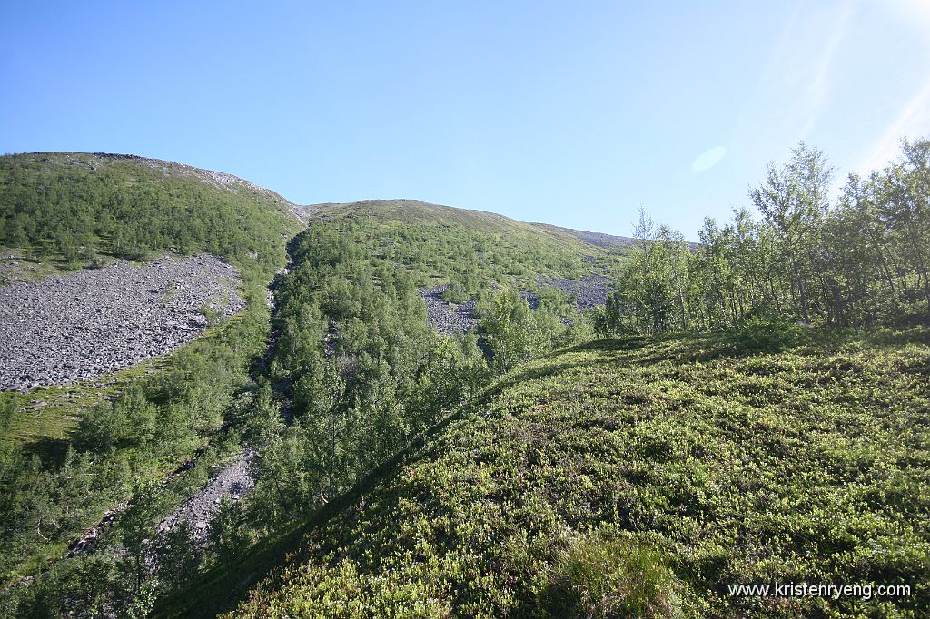 IMG_0017.JPG - To elvedalen som møtes i bunn av Henrikskardet. Maritindan ligger inn mot høyre for bildet.