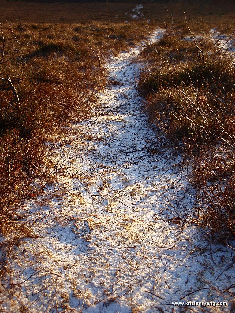 PA300098.JPG - Spor over myrområdet som følge av Tromtindens status som Ti på Topp mål.