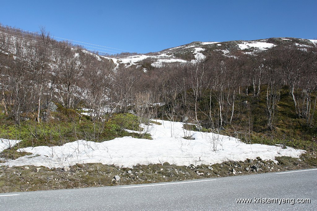 IMG_0296.JPG - Et greit utgangspunkt er å følge Sandelva opp dalen mellom Glimtinden (t.h) og Sjursnestinden (t.v). Litt skogs krongling i starten, men terrenget blir raskt bedre.