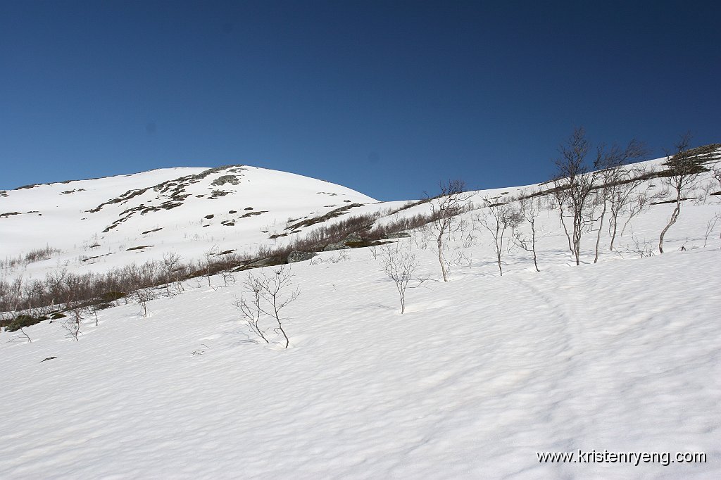 IMG_0304.JPG - Traseen legges videre opp på ryggen mot Glimfjellet.