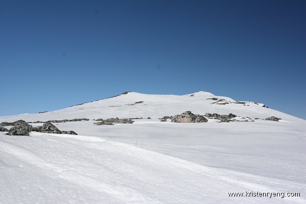 IMG_0319.JPG - Oppe på ryggen til Glimfjellet som ses i front.