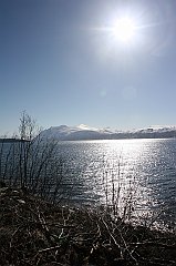 IMG_0295