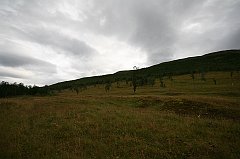 IMG_0358