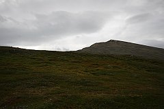 IMG_0377