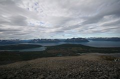 IMG_0459