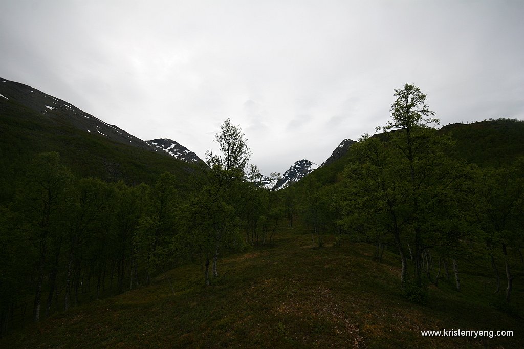 IMG_0009.JPG - Innerst i Tiurdalen ligger navnløs topp (1106 moh).