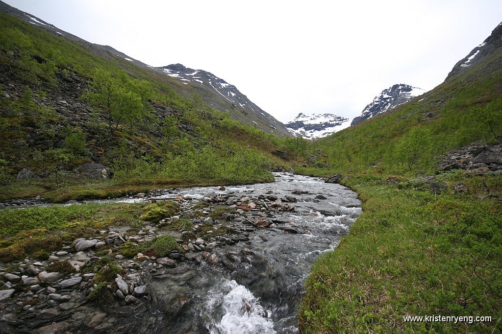 IMG_0017.JPG - Følg Tiurelven opp på vestsiden (høyre side). Elven lar seg krysse uten problemer lengre opp i dalen.