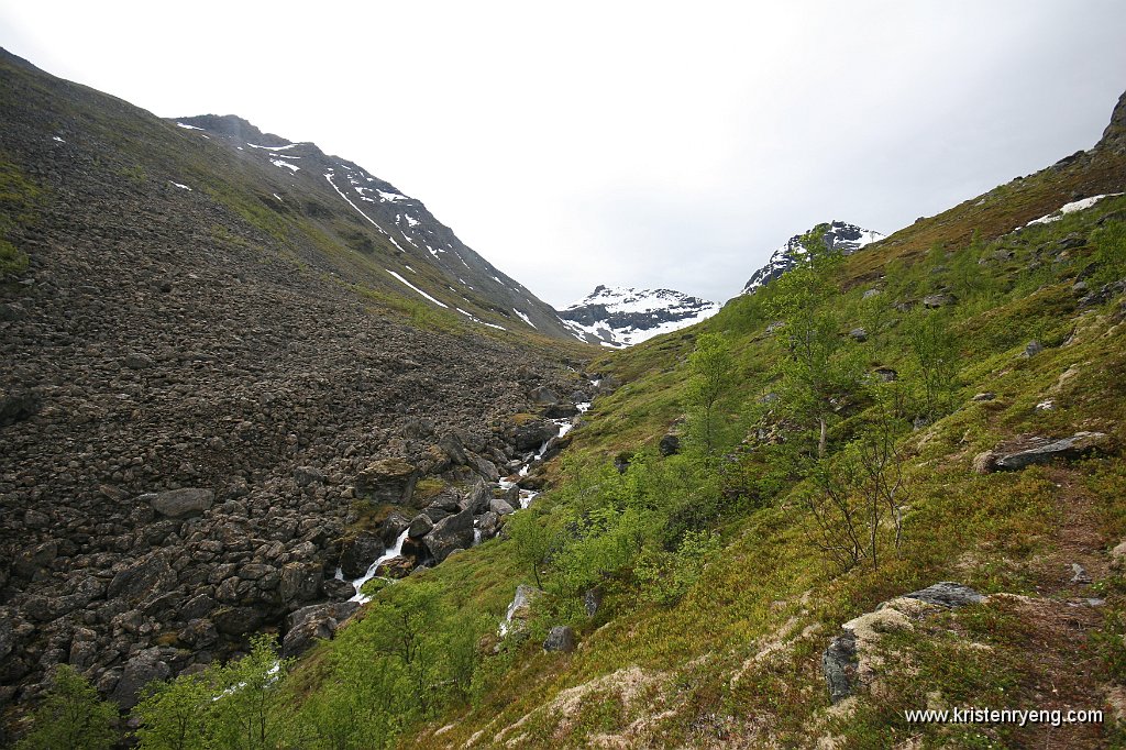 IMG_0023.JPG - Steinur på østsiden, vegetasjon på vestsiden av elven.