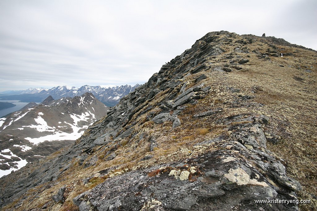 IMG_0136.JPG - Siste bakken opp langs ryggen til toppvarden.