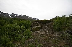 IMG_0002