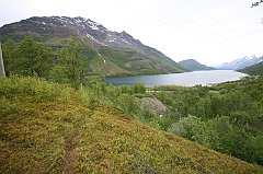 IMG_0004