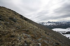 IMG_0130