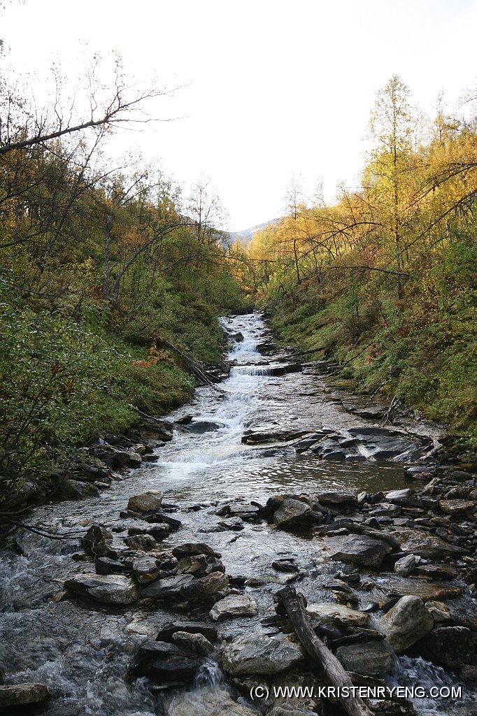 IMG_0382.JPG - Tromsdalselva. Mer fart i denne på vårparten under snøsmeltinga.