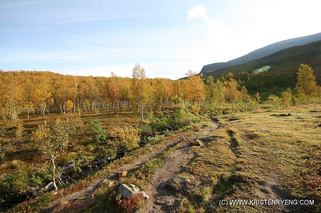 IMG_0393.JPG - Snart over tregrensen. Sommerruten og ryggen mot Tromsdalstinden ses bakerst.