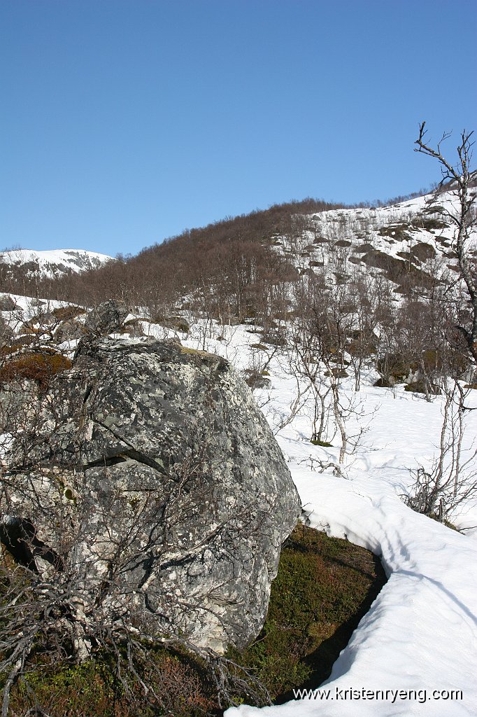 IMG_0094.JPG - Starten av traseen går i et noe humpete, kronglete og lett irriterende terreng. Det gjelder å velge rett linje opp og ut av skogen.