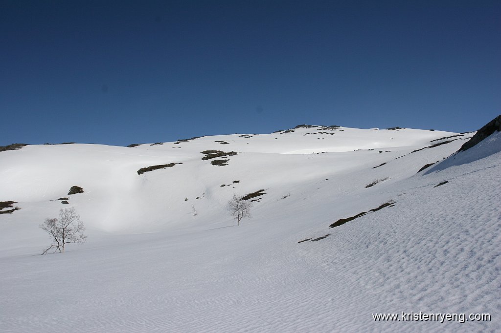 IMG_0117.JPG - Toppen ses såvidt i bakgrunnen til høyre i bildet.