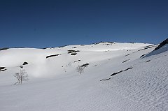 IMG_0117