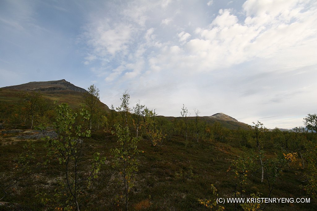 IMG_0017.JPG - Snart over skoggrensen. Svartnestinden oppe til venstre. Til høyre ses Lavangstinden.