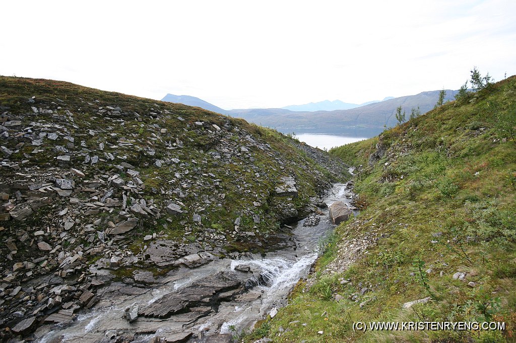 IMG_0039.JPG - Mølnelva som renner ut i Balsfjorden.