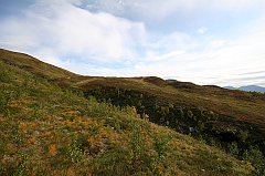 IMG_0030